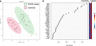 The proteomic fingerprint in infants with single ventricle heart disease in the interstage period: evidence of chronic inflammation and widespread activation of biological networks
